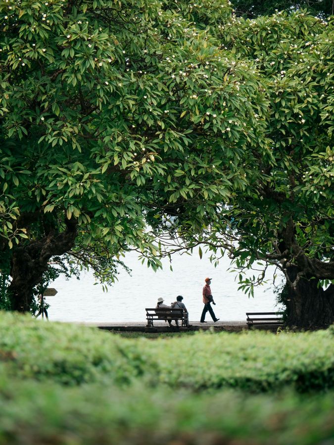 シーチャン島の海辺の公園